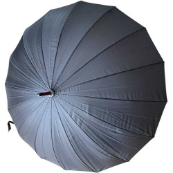 SOLENNEL 16 baleines