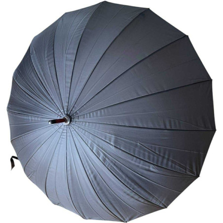 SOLENNEL 16 baleines