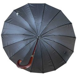 SOLENNEL 16 baleines